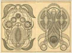 lostateminor.com Despont