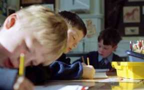 telegraph.co.uk Despontin