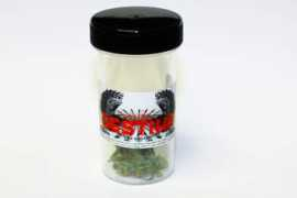 budgenius.com Destika