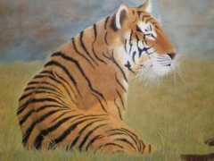 artistasdelatierra.com Detigre