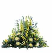 florajet.com Devant