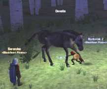 camelot.allakhazam.com Develin