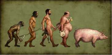 Devolution