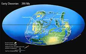 discoveringfossils.co.uk Devonian
