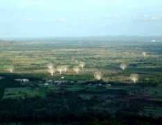 Dewangan