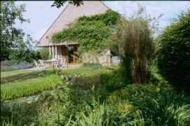 Dhaene