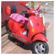 scooterseatcovers.com Dharia
