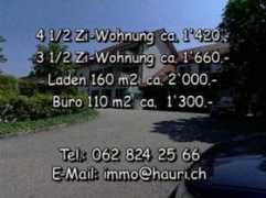 hauri.ch Dhauri