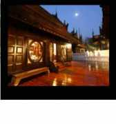 Dhavi