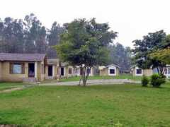 Dhela