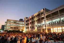 mitid.edu.in Dhimant