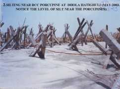 pib.nic.in Dholla