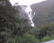 Dhoodh