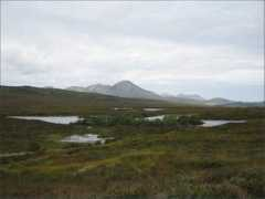 trout-salmon-fishing.com Dhuba