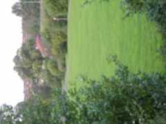 Dhunnoo