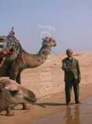 fotolibra.com Diabat