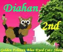 jinxfold.org Diahan