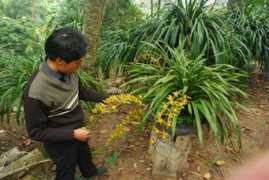 hanoimoi.com.vn Dialan