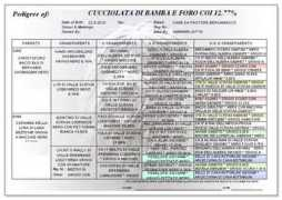 Diamia