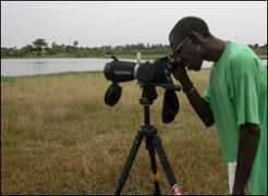 seawatching.net Diamil