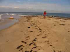 nl.tourismtome.com Dianadi