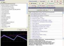 zdravi.craftcom.net Dianel
