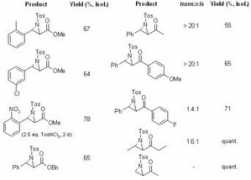 organic-chemistry.org Dianjun
