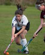 larchmontgazette.com Dibiccari