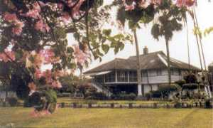 allindiabirding.net Dibri