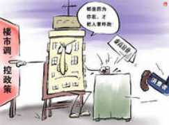 bi.icxo.com Dichan