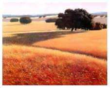 goldengategallery.com Didop