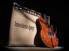 timtone.com Diebert