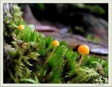 bloggang.com Dienia