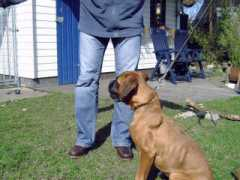 waldswalker.nl Dietha