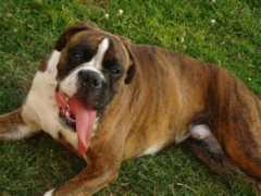 waldswalker.nl Dietha