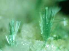 rbmineral.de Dietter