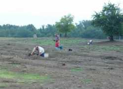 tinka.net Digging