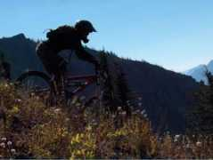 ourfernie.com Diggler