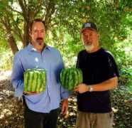 inhabitat.com Dighera