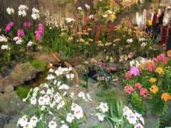 gardenbanter.co.uk Dighera