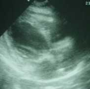 erpocketbooks.com Dilated