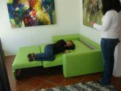 treehugger.com Dileto