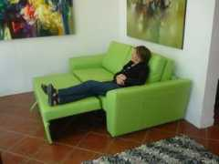 treehugger.com Dileto