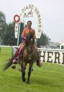 horsemarwari.com Dilraj