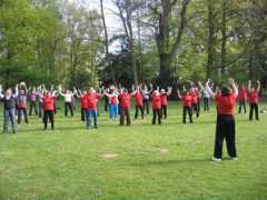 worldtaichiday.org Dilsen