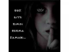 blog.milliyet.com.tr Dilvin