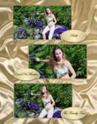 lightanddark.net Dimarsico