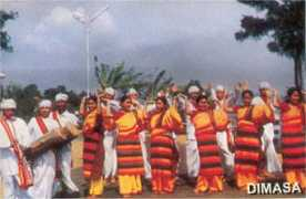 nchills.gov.in Dimasa