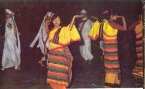 nchills.gov.in Dimasa