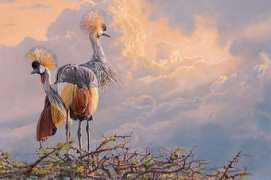 birdingart.com Diment